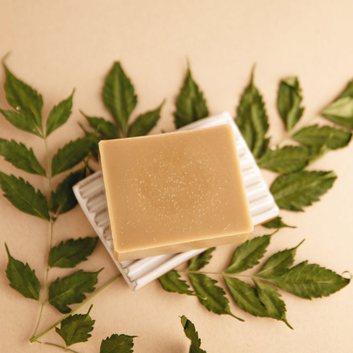 Forest Bathing - Natural Bar Soap - Exquisite Beauty